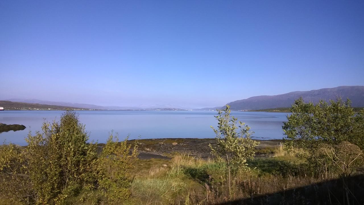 Vikran Vacation: Sea Fishing And Northern Lights Exterior foto