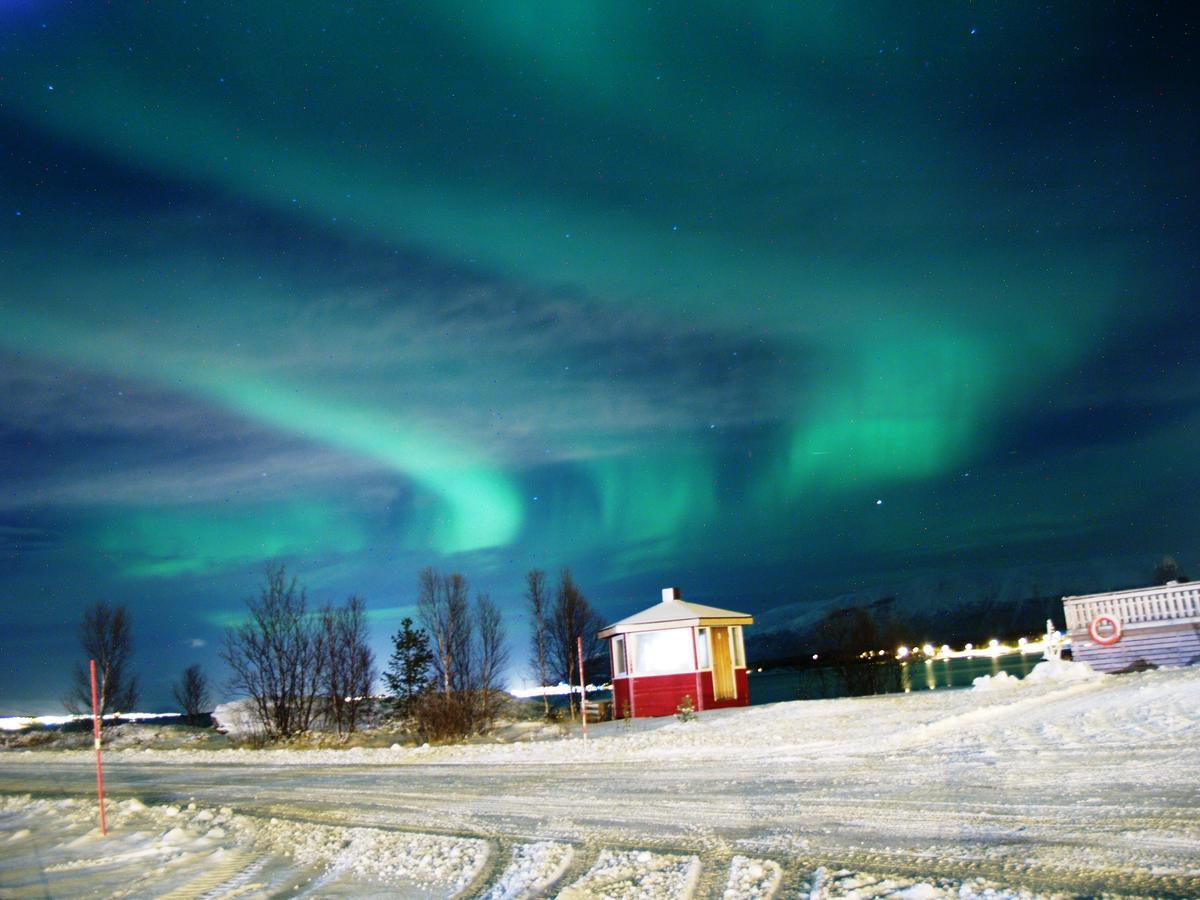 Vikran Vacation: Sea Fishing And Northern Lights Exterior foto